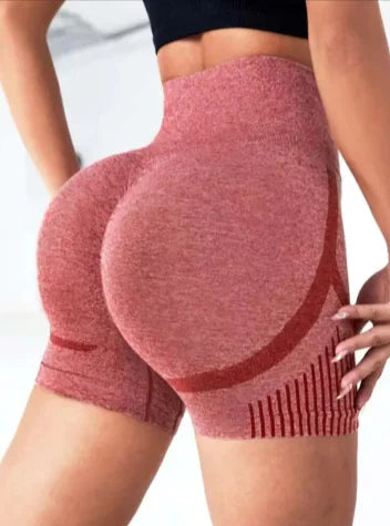 Seamless High-Waist Yoga Shorts